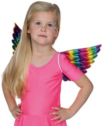 Regenboog Vleugels 44x23cm