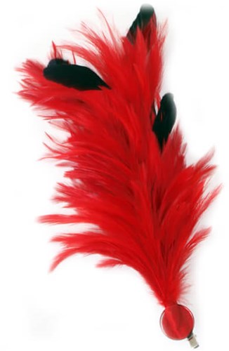 Verenpluim Rood Buigbaar met Speld en Clip - 30cm