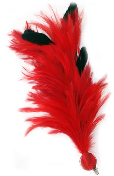 Verenpluim Rood Buigbaar met Speld en Clip - 30cm