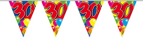 Vlaggenlijn 30 jaar 10mtr