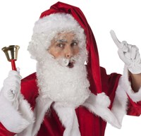 Kerstman Baardstel