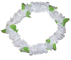 Hawaislinger Wit + Blaadje 