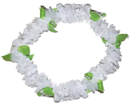 Hawaislinger Wit + Blaadje 
