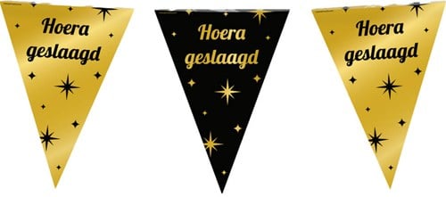 Vlaggenlijn Classy Hoera Geslaagd - 10m
