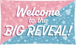 Gevelvlag Gender Reveal - 150x90cm