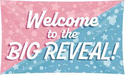 Gevelvlag Gender Reveal - 150x90cm