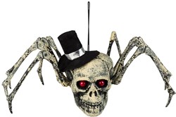 Halloween Decoratie Spinnenschedel (23x29cm)