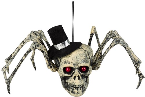 Halloween Decoratie Spinnenschedel (23x29cm)