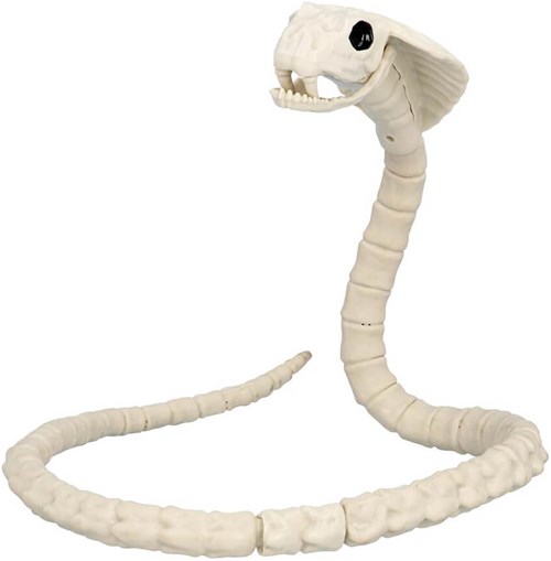 Halloween Decoratie Skelet Slang - 102cm (1)