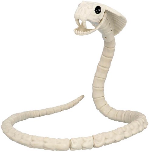 Halloween Decoratie Skelet Slang - 102cm