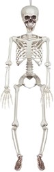 Halloween Decoratie Skelet Beweegbaar - 90cm