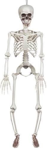 Halloween Decoratie Skelet Beweegbaar - 90cm
