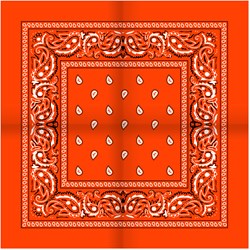 Zakdoek Oranje (54x54cm)