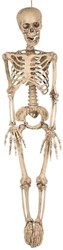 Hangdecoratie Skelet - 90cm