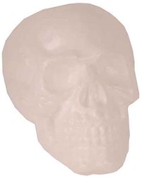 Decoratie Doodshoofd Skull met LED en Geluid - 30x21cm