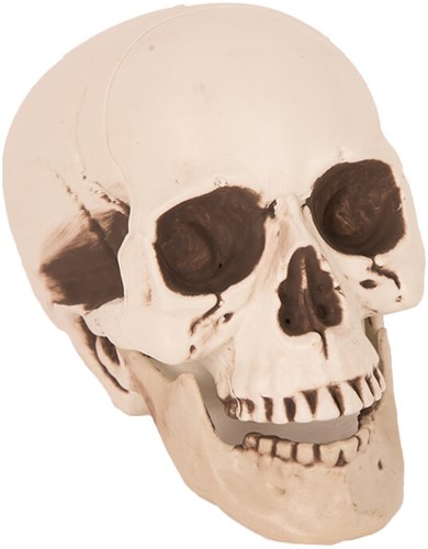 Halloween Decoratie Skull Doodshoofd 21cm