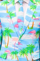 Herenkostuum OppoSuits Flaminguy -3