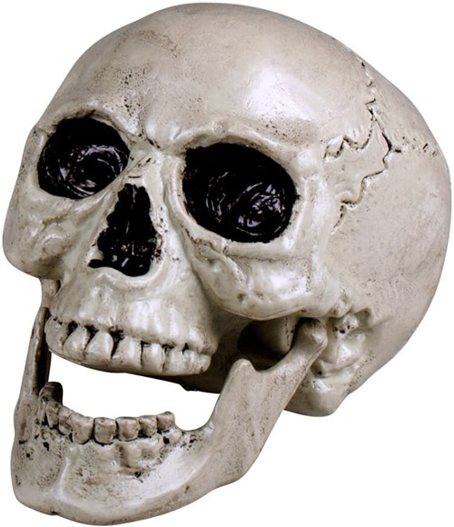 Decoratie Skull (beweegbare kaak) (1)