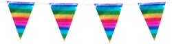 Folie Mini Vlaggenlijn Regenboog Metallic - 3m