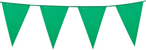 Vlaggenlijn Groot Groen (10m)