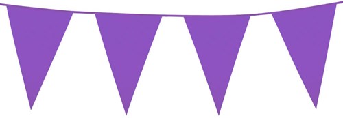 Vlaggenlijn Groot Paars (10m)