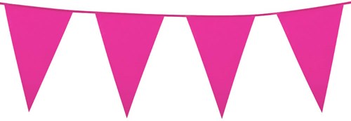 Mini Vlaggenlijn Pink 3mtr.