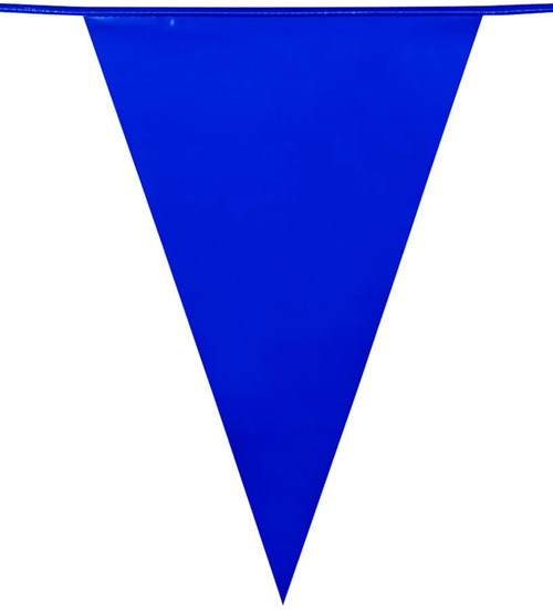 Vlaggenlijn Groot Blauw (10m) (detail)