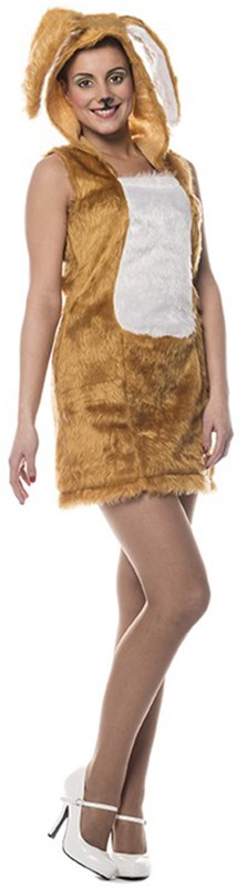 Dameskostuum Sexy Paashaasje Bruin 