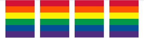 Vlaggenlijn Regenboog Rainbow Rechthoek (10m)