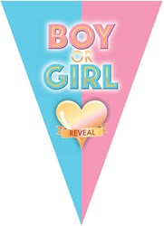 Vlaggenlijn Gender Reveal Boy or Girl (5m)