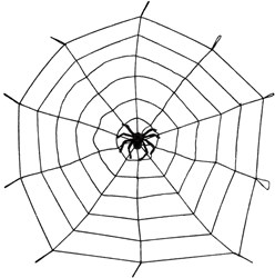 Spinnenweb Elastisch met Spin (150cm)