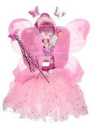 Feeënsetje Roze (4 delig)