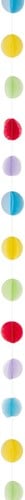 Ballonnenlint Rondjes Multi (2m)
