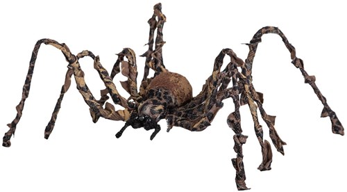 Halloween Spin Bruin - 40cm