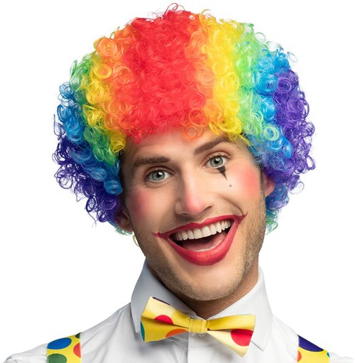 Gekrulde Regenboog Pruik (1)