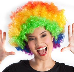 Pruik Oversized Afro Multi