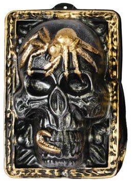 Wanddeco Skull Zilver 35X24cm