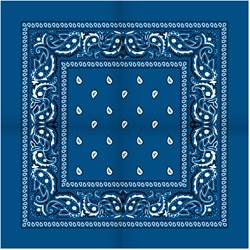 Zakdoek Blauw (54x54cm)