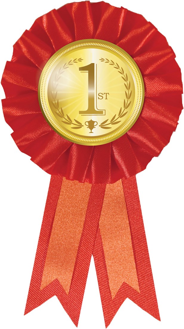 Medaille Rozet 1e Goud