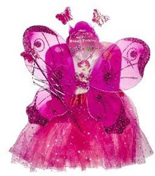 Feeënsetje Pink (4 delig)