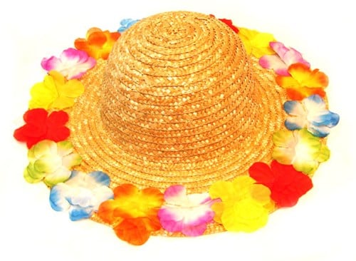 Hawaihoed Riet + Bloemen