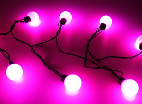 LED Verlichting Pink Bolletjes 4m - 20 LEDS (LED)