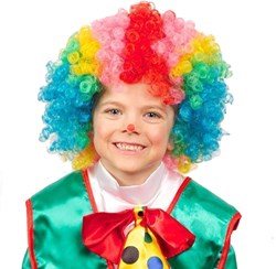 Clownspruik Multi voor Kinderen