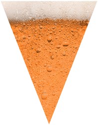 Vlaggenlijn Bier - 10m