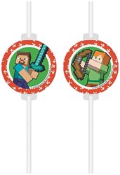 Minecraft Rietjes - 4st