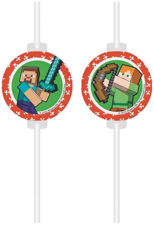 Minecraft Rietjes - 4st