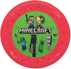 Minecraft Herbruikbare Borden 4st - 21cm