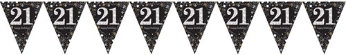 Vlaggenlijn 21 Sparkling Celebrations Silver en Gold (4m)