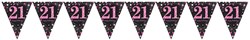 Vlaggenlijn 21 Sparkling Celebrations Pink (4m)