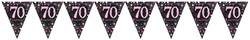 Vlaggenlijn 70 Sparkling Celebrations Pink (4m)